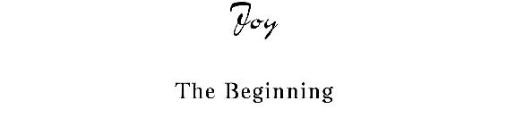 Joy The Beginning